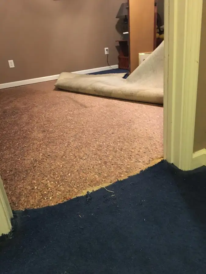 Carpet pad removal revealing water damage during Drying & Dehumidification in Pleasanton