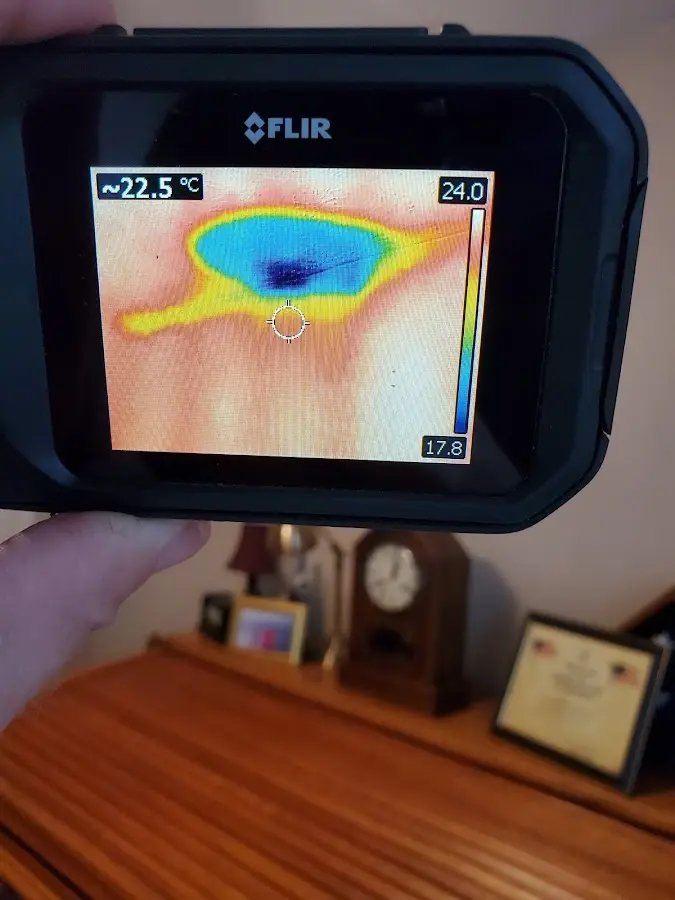 Thermal imaging inspection for water damage in Pleasanton